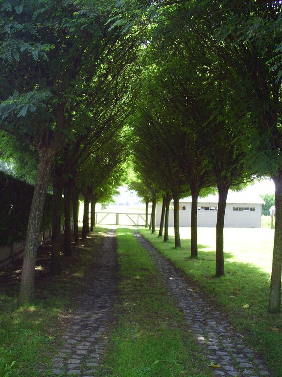 Apartment Capitalcondos Ninove Bilik gambar